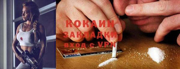 индика Протвино