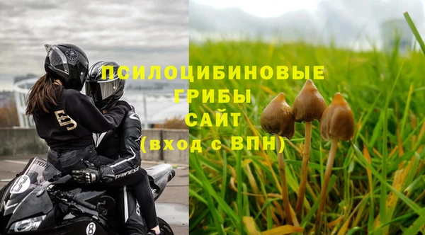 МДПВ Рославль