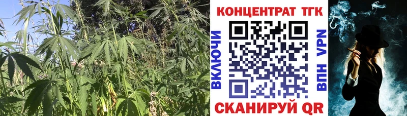 Дистиллят ТГК гашишное масло  Купить  Чухлома 