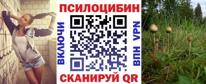 Купить закладки  Чухлома  Псилоцибиновые грибы мицелий 
